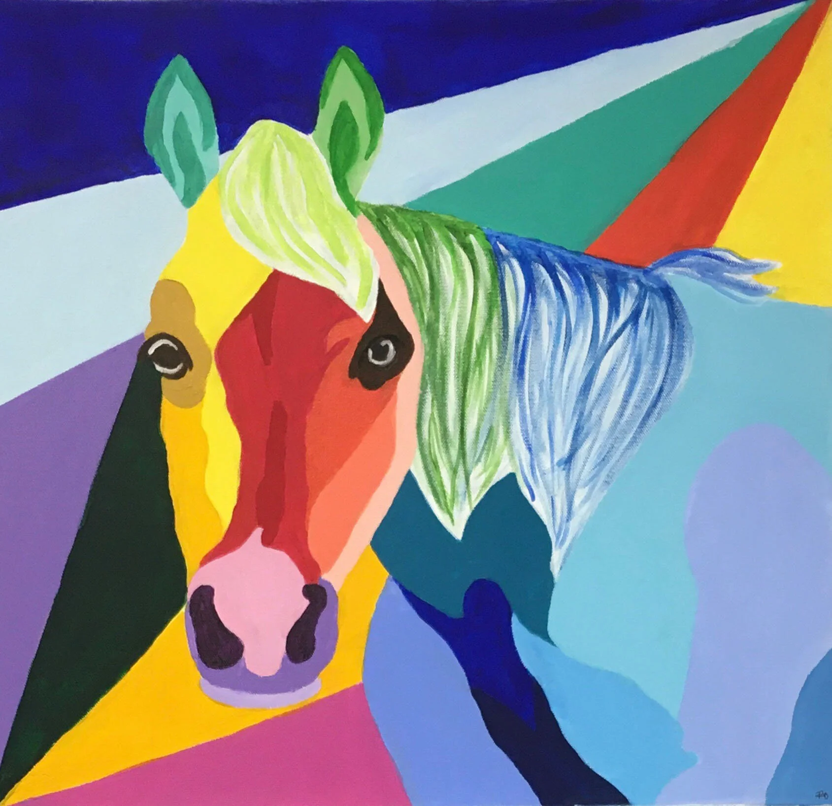 horse.jpg