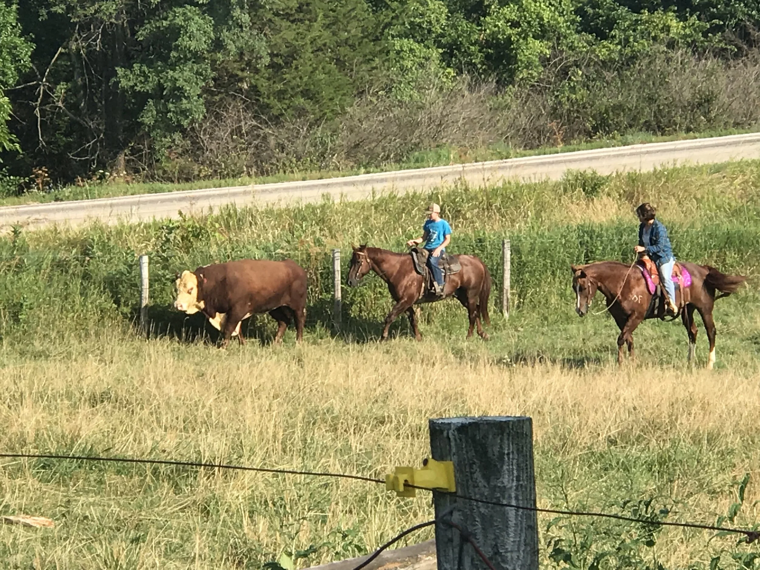 Nebraska Diamond Ranch About — Diamond P Ranch