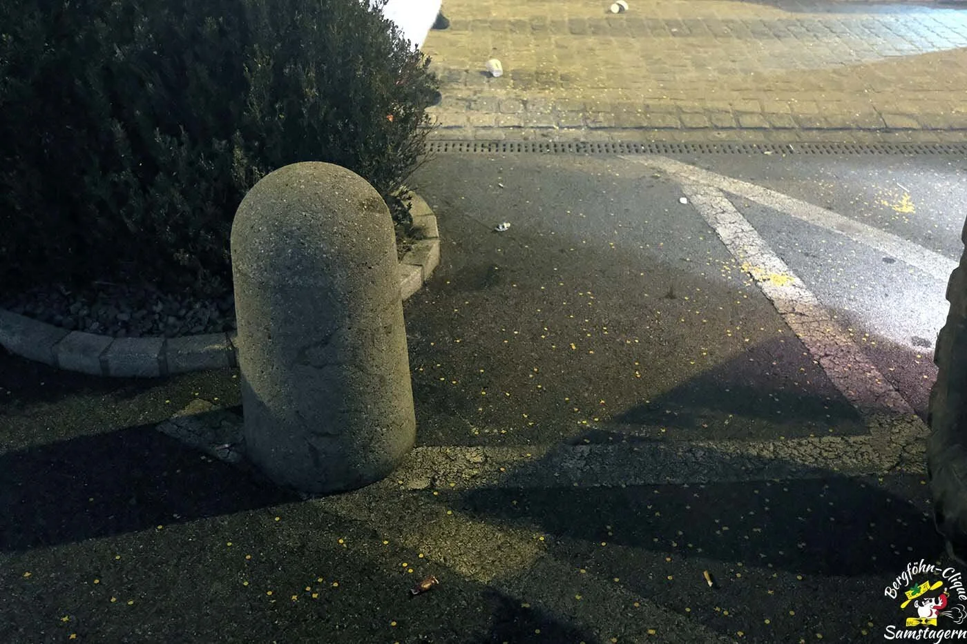 Fasnachtsumzug_Lachen_2019_053.jpg