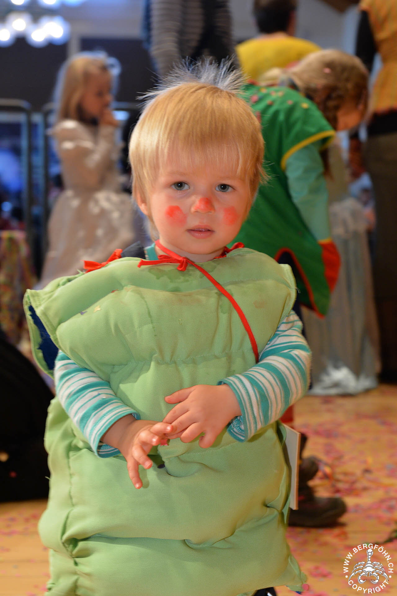 Kinderfasnacht_6.2.2016_320.jpg