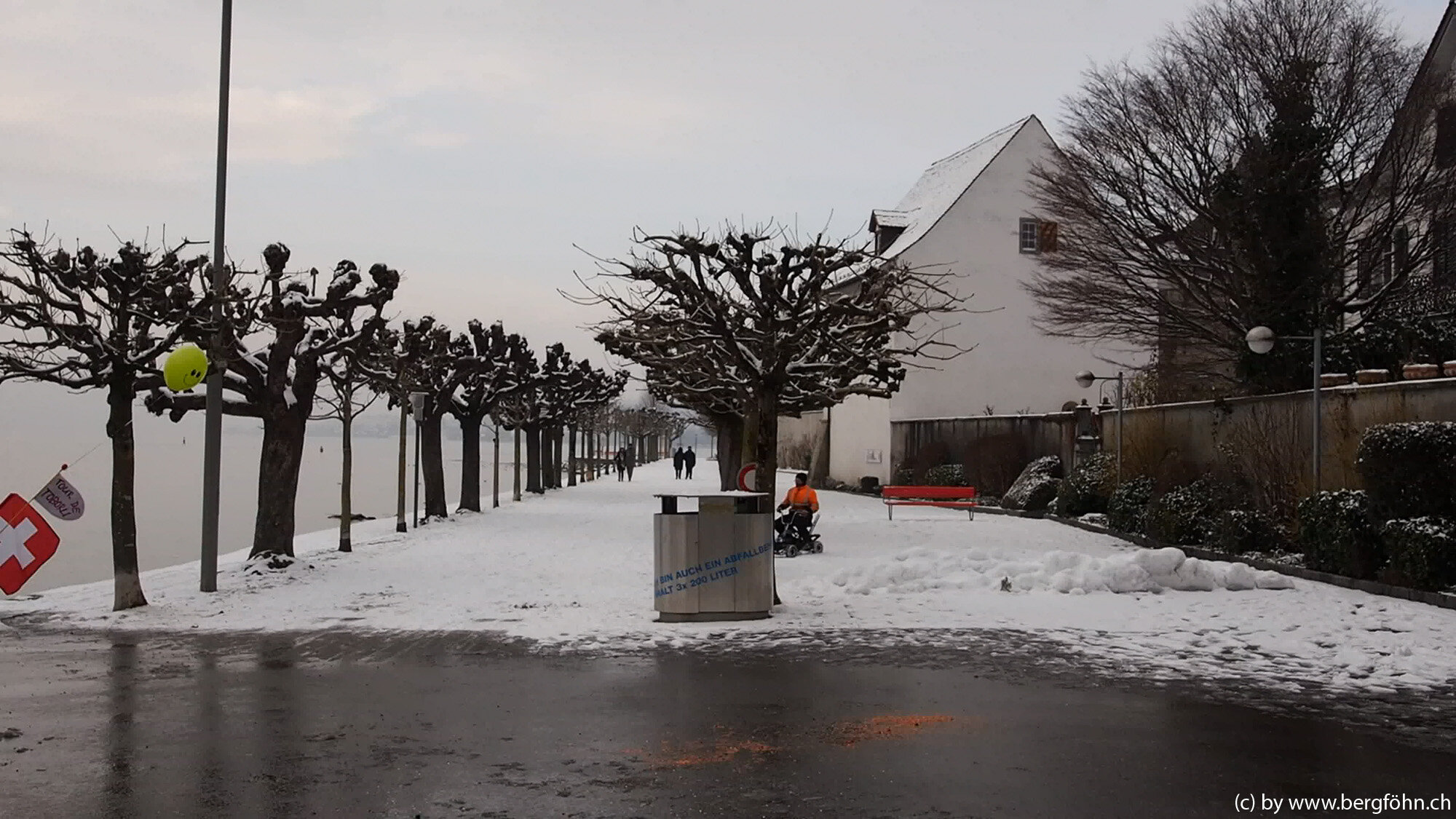 Fasnachtsumzug_Rapperswil_8.2.2015_063.jpg