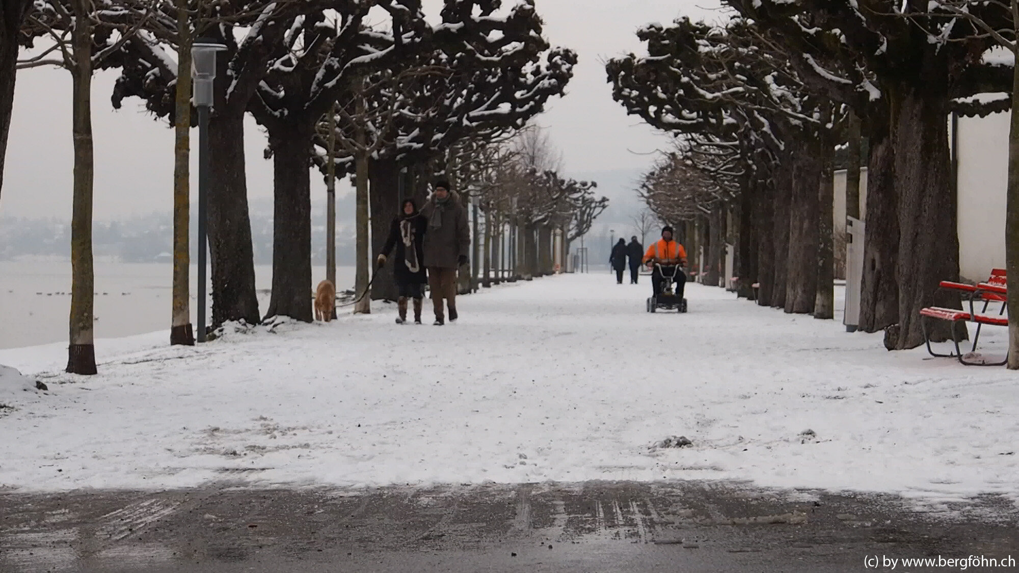 Fasnachtsumzug_Rapperswil_8.2.2015_064.jpg