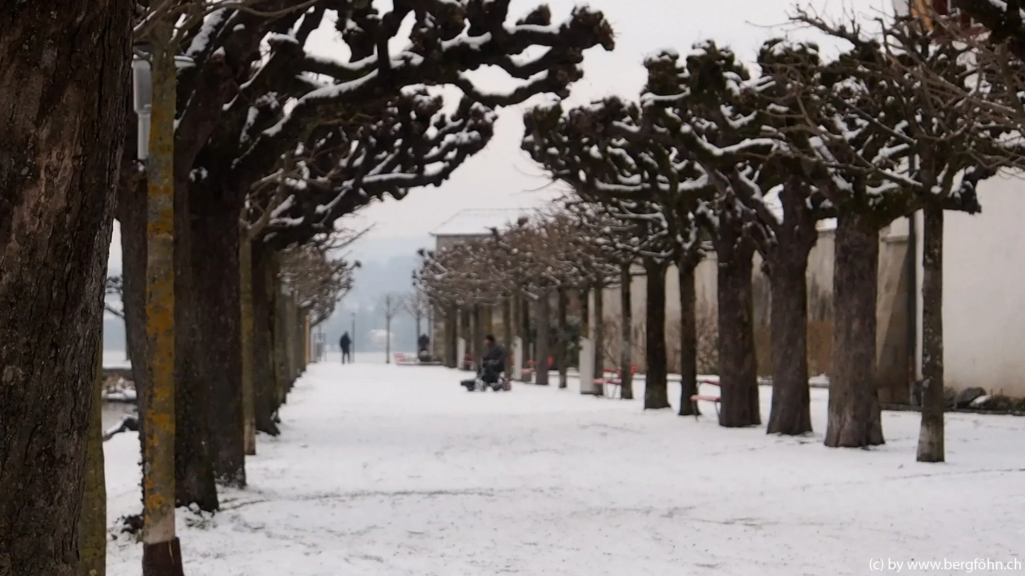 Fasnachtsumzug_Rapperswil_8.2.2015_074.jpg