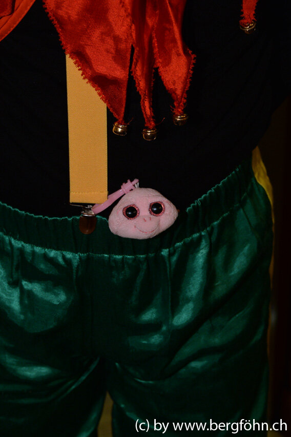 bergfasnacht_samstagern_2014_035.jpg