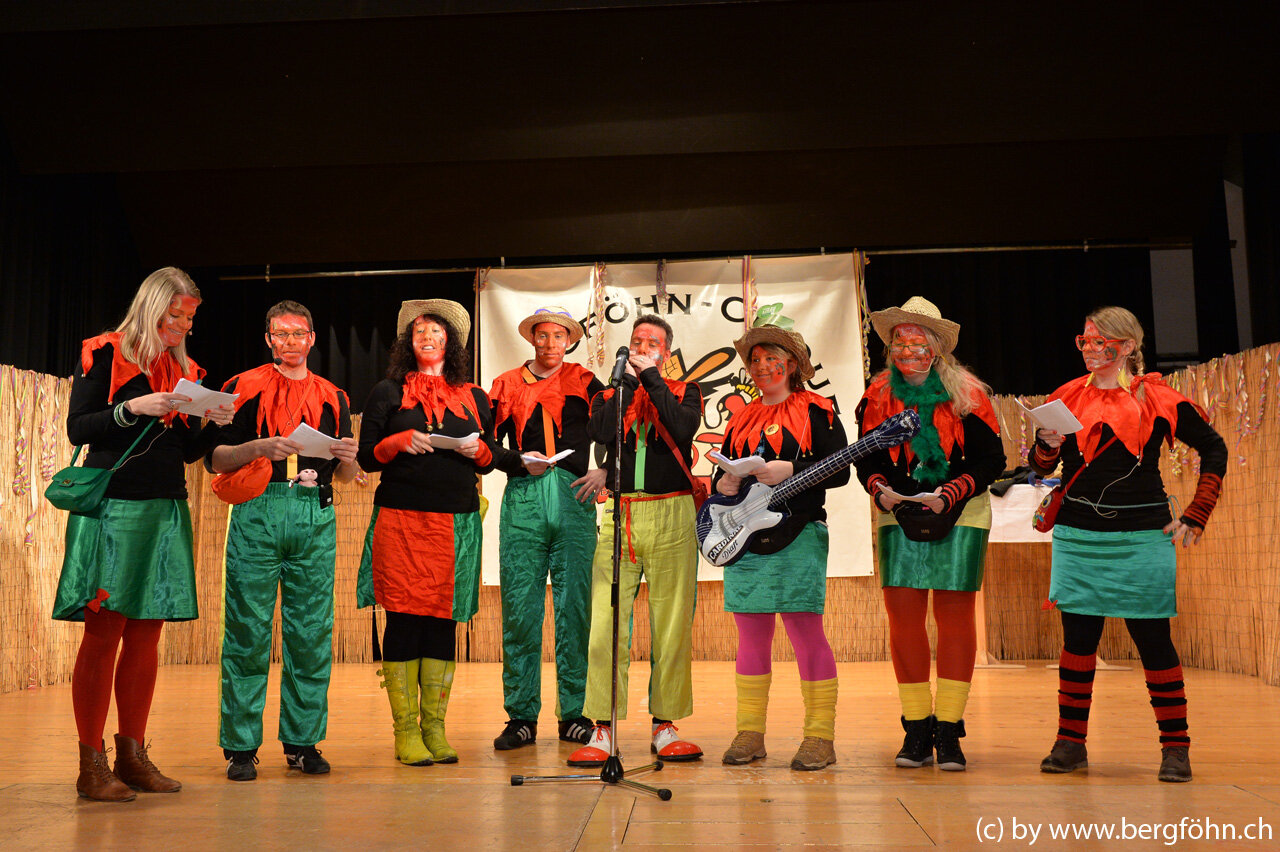 bergfasnacht_samstagern_2014_092.jpg