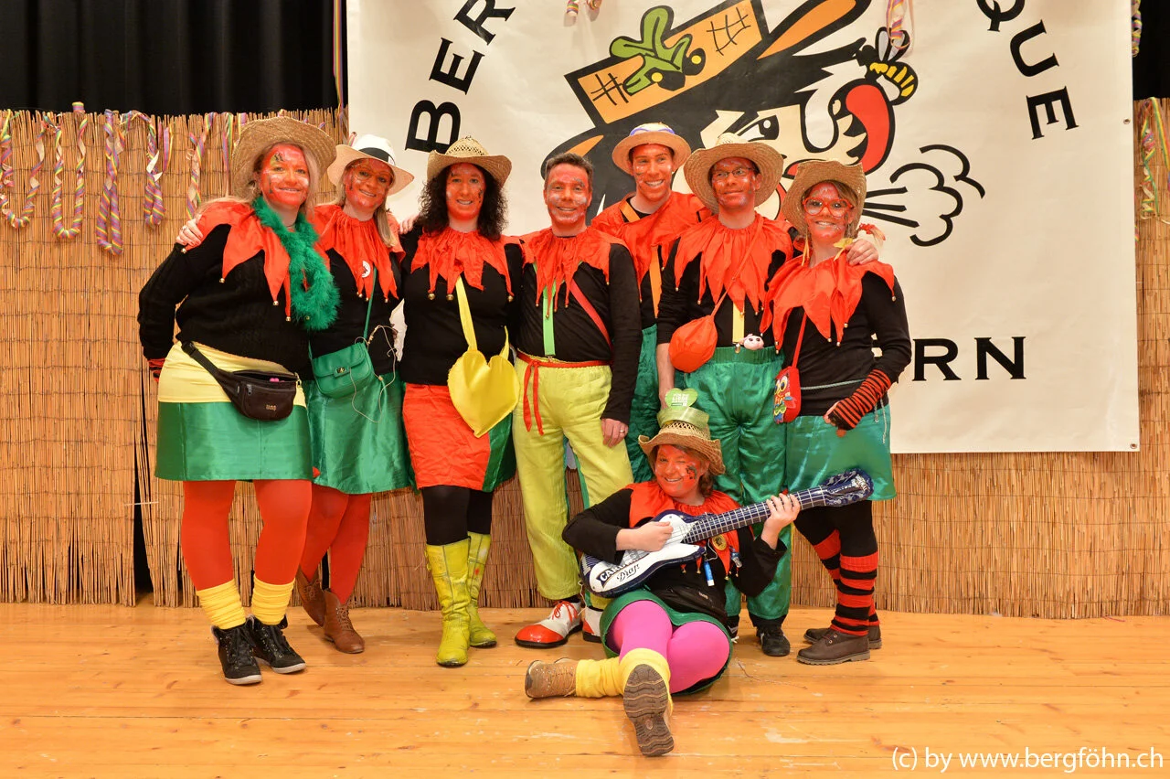 bergfasnacht_samstagern_2014_121.jpg