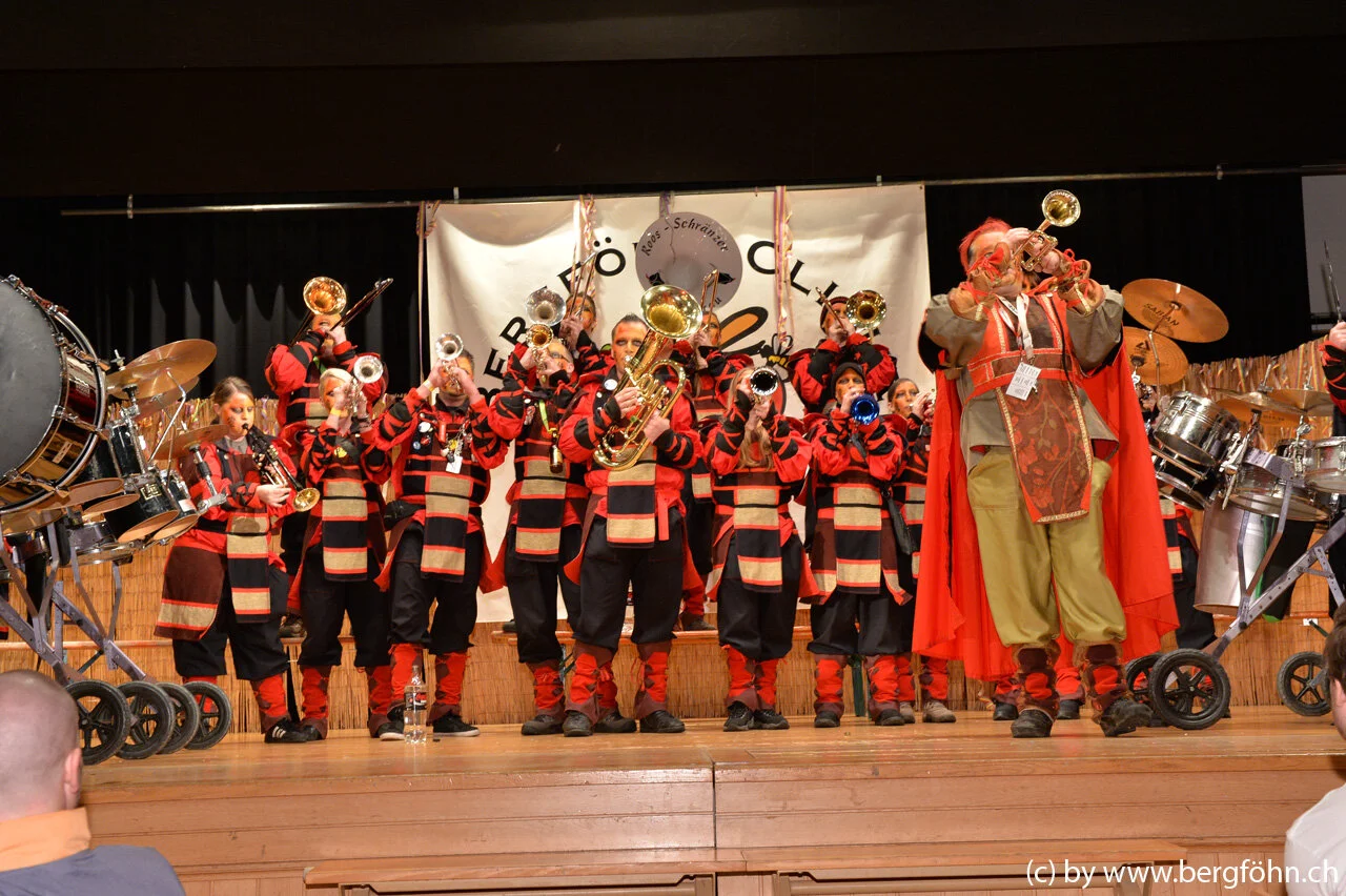 bergfasnacht_samstagern_2014_119.jpg