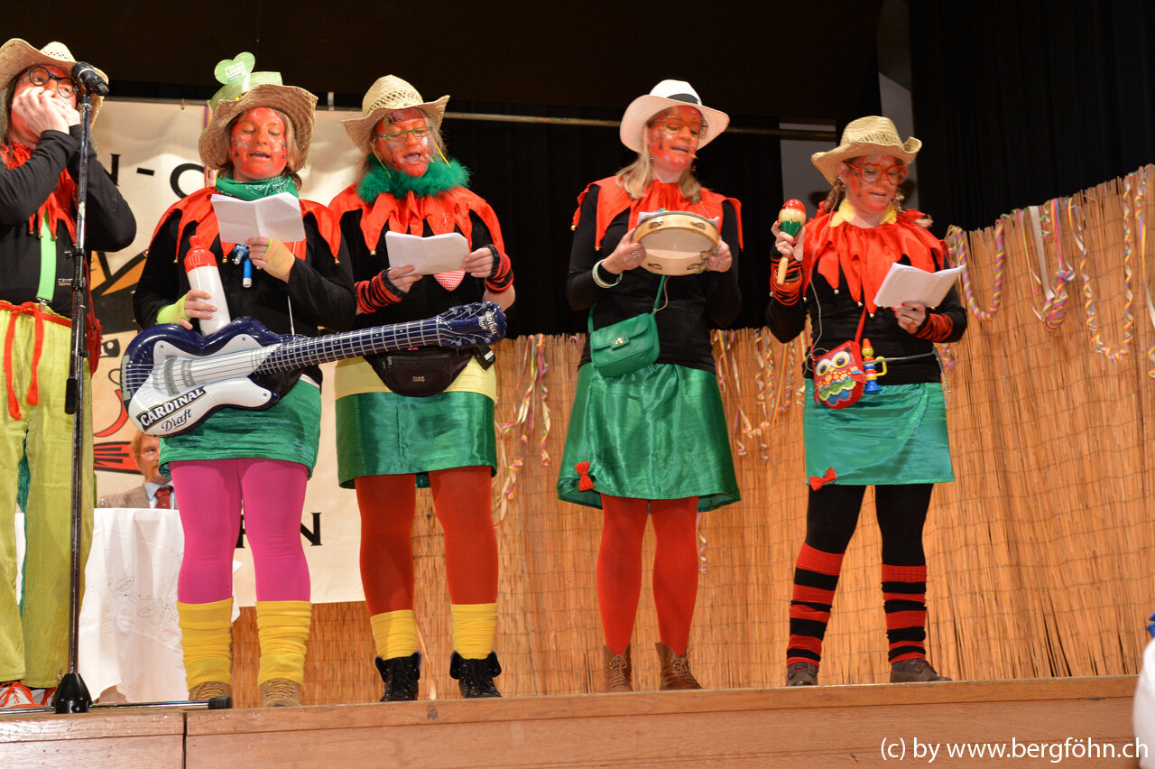 bergfasnacht_samstagern_2014_133.jpg