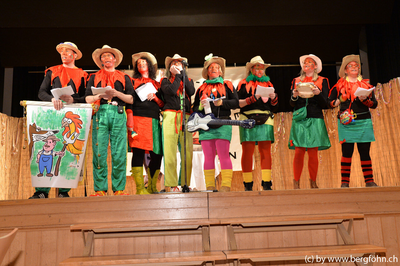 bergfasnacht_samstagern_2014_143.jpg
