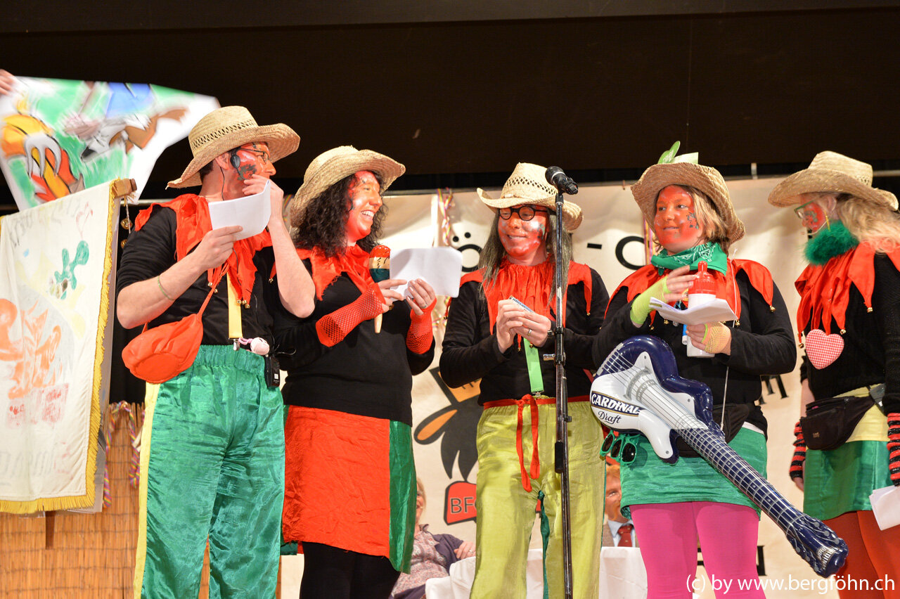 bergfasnacht_samstagern_2014_161.jpg