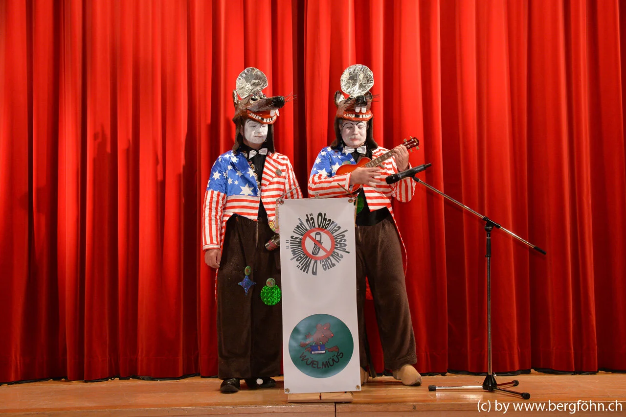 bergfasnacht_samstagern_2014_179.jpg