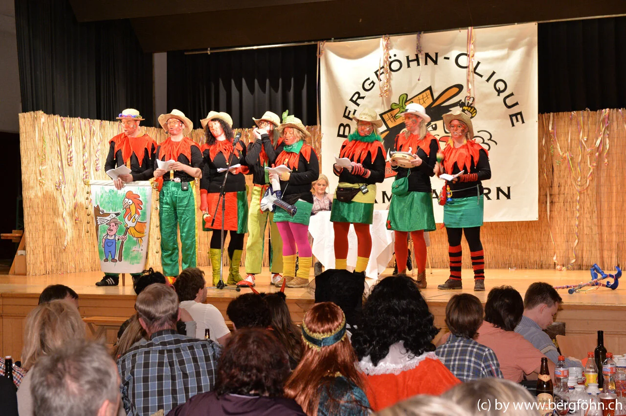 bergfasnacht_samstagern_2014_196.jpg