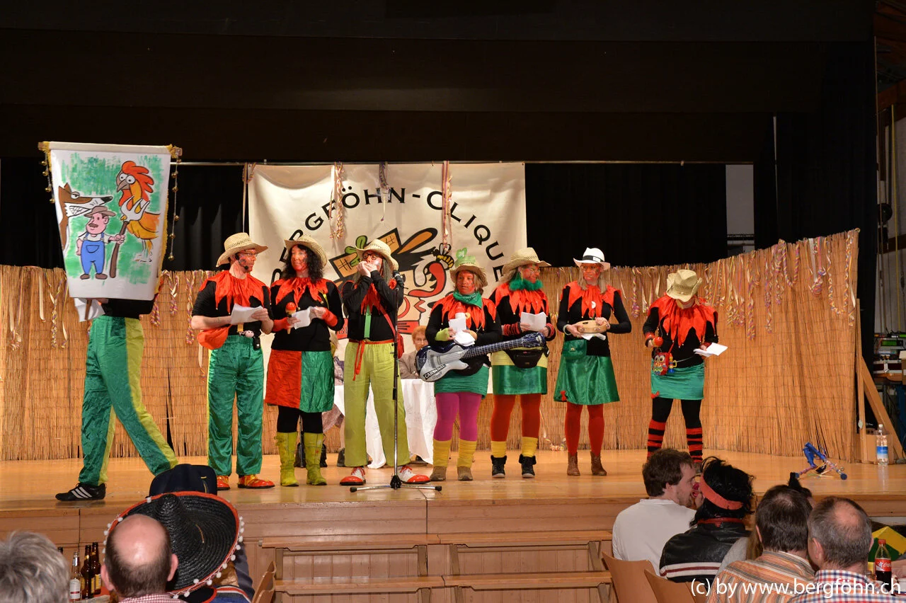 bergfasnacht_samstagern_2014_217.jpg
