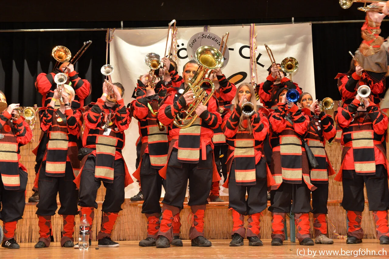bergfasnacht_samstagern_2014_219.jpg