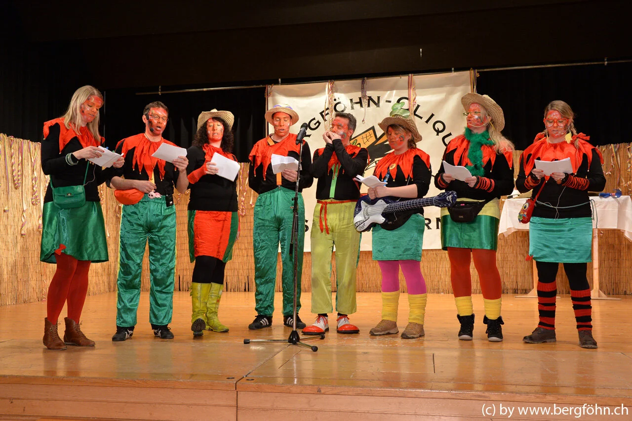 bergfasnacht_samstagern_2014_215.jpg