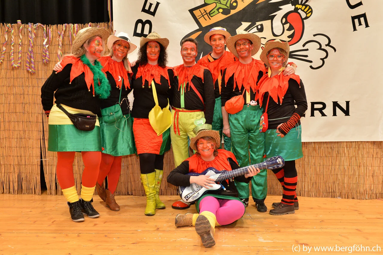 bergfasnacht_samstagern_2014_232.jpg