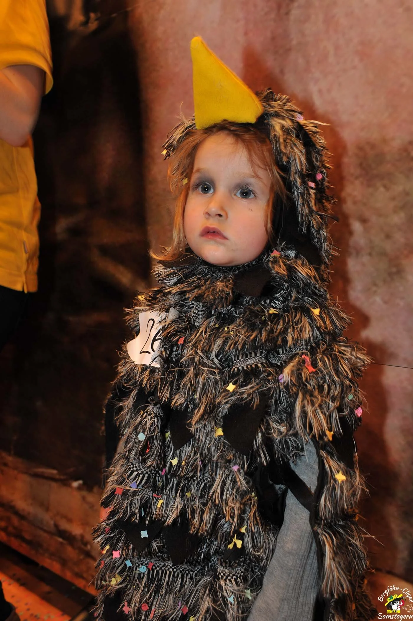 Kinderfasnacht_2013_313.jpg