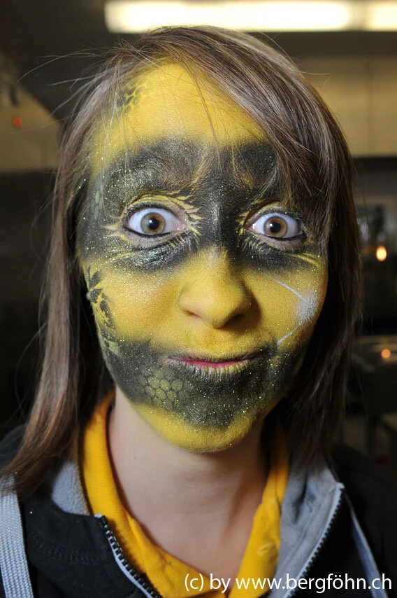 Bergfasnacht_2013_105.jpg