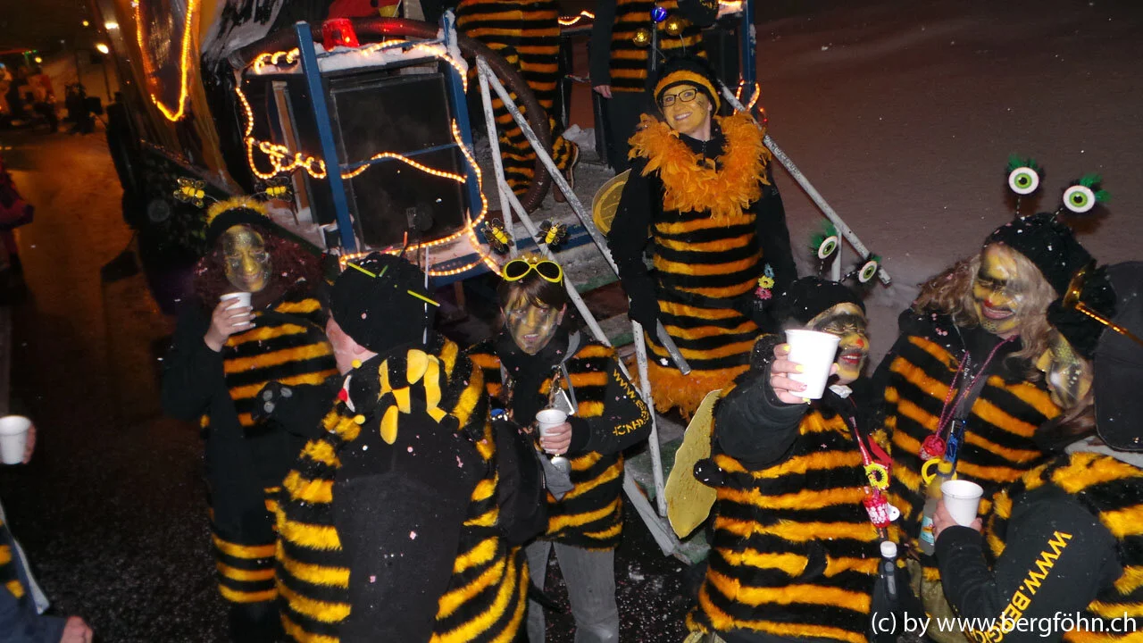 Fasnachtsumzug_Menzingen_2013_002.jpg