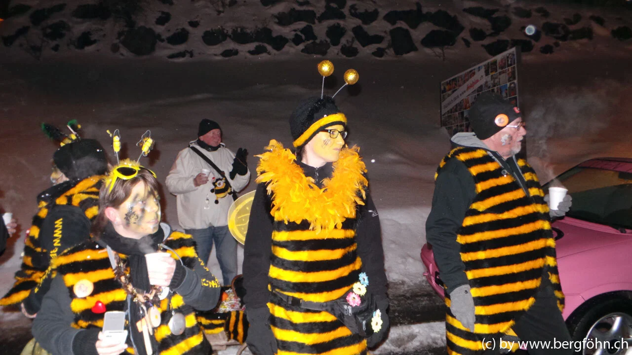 Fasnachtsumzug_Menzingen_2013_004.jpg