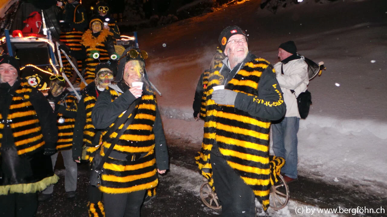 Fasnachtsumzug_Menzingen_2013_027.jpg