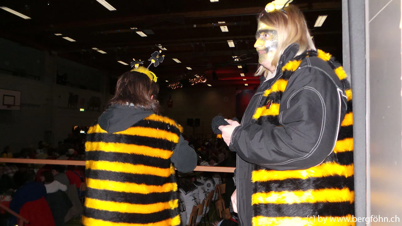 Fasnachtsumzug_Menzingen_2013_031.jpg