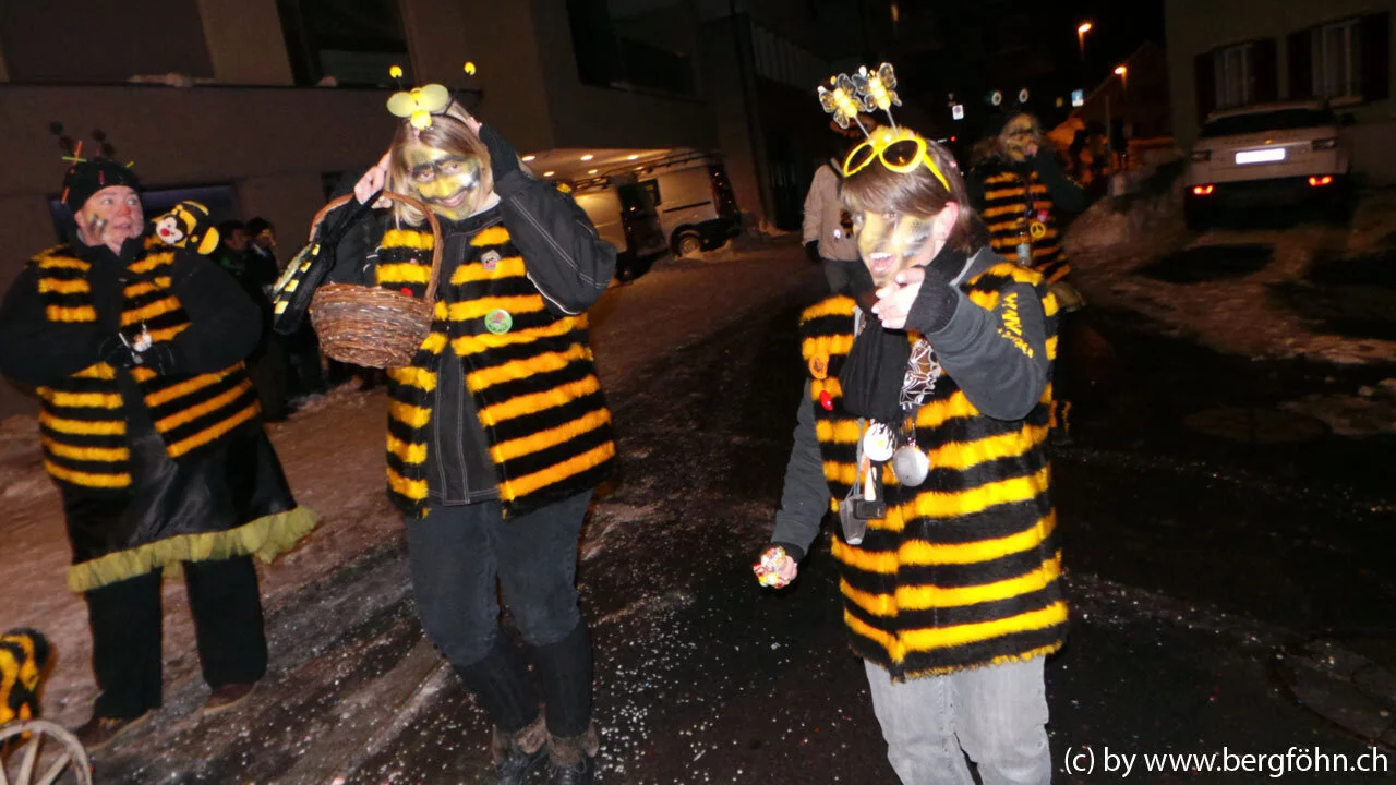 Fasnachtsumzug_Menzingen_2013_041.jpg