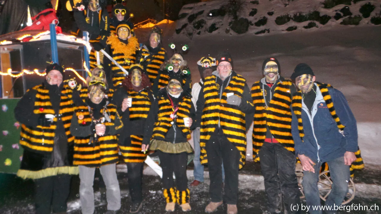 Fasnachtsumzug_Menzingen_2013_042.jpg