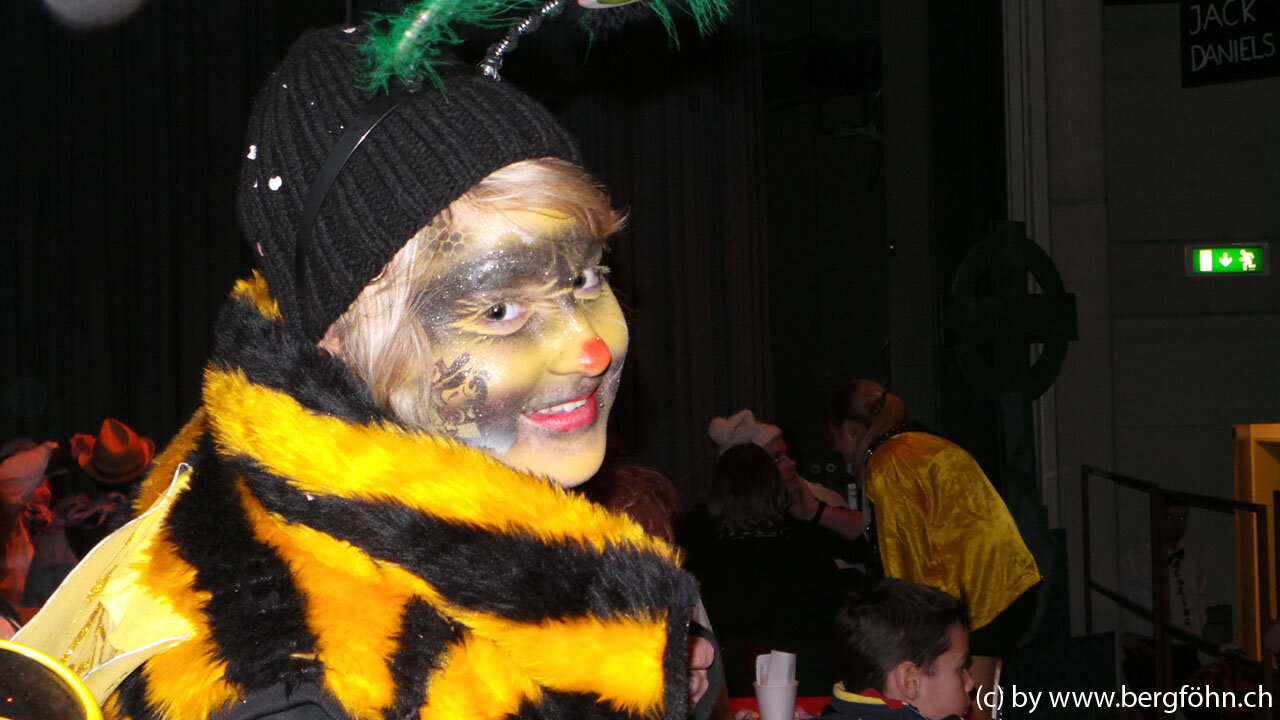 Fasnachtsumzug_Menzingen_2013_047.jpg