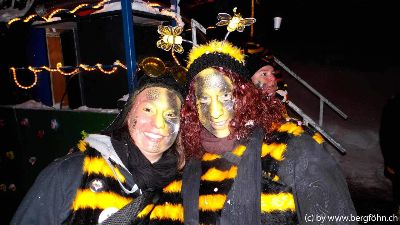 Fasnachtsumzug_Menzingen_2013_044.jpg