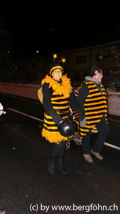 Fasnachtsumzug_Menzingen_2013_059.jpg