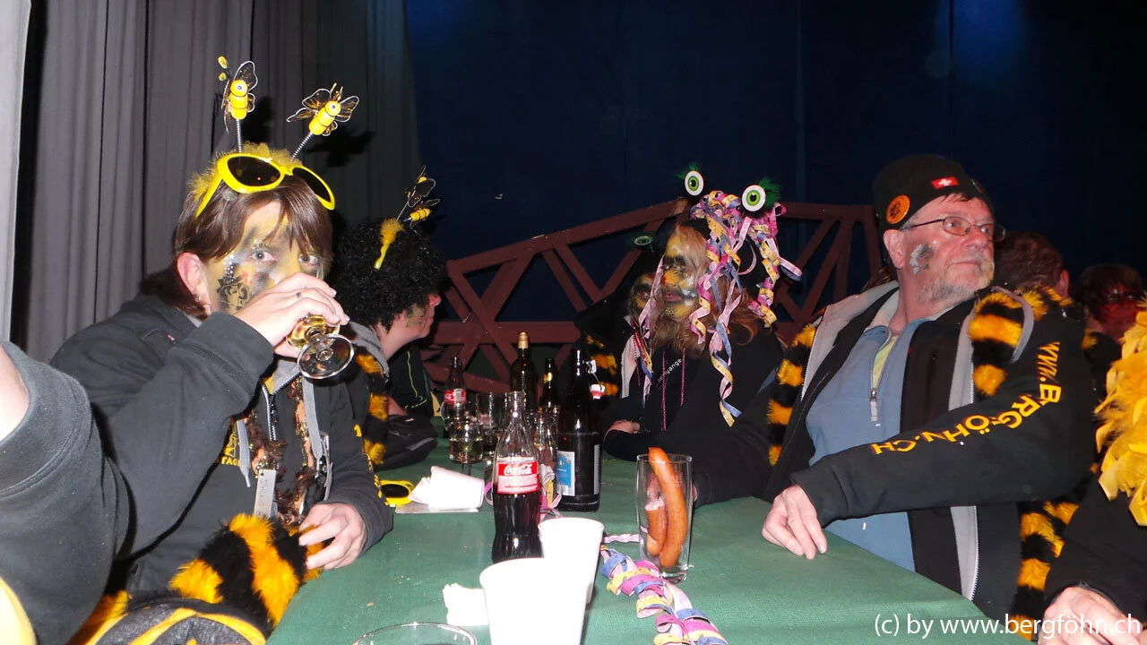 Fasnachtsumzug_Menzingen_2013_068.jpg