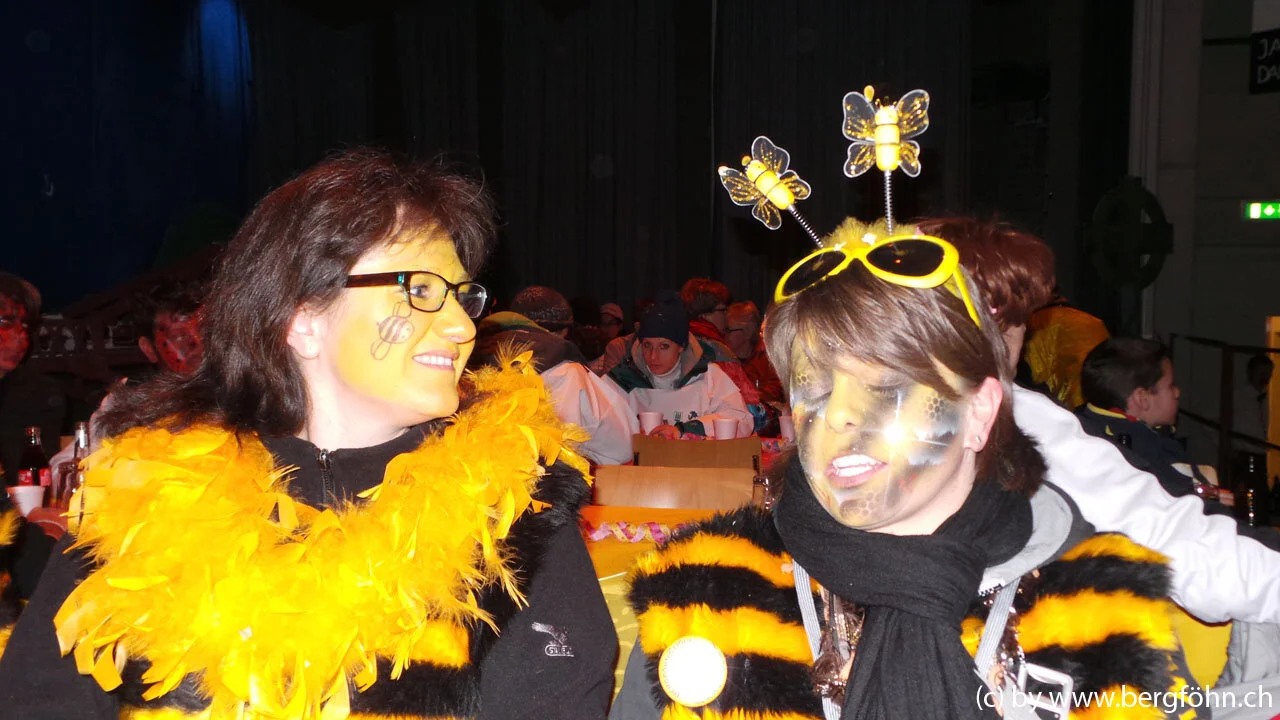 Fasnachtsumzug_Menzingen_2013_069.jpg