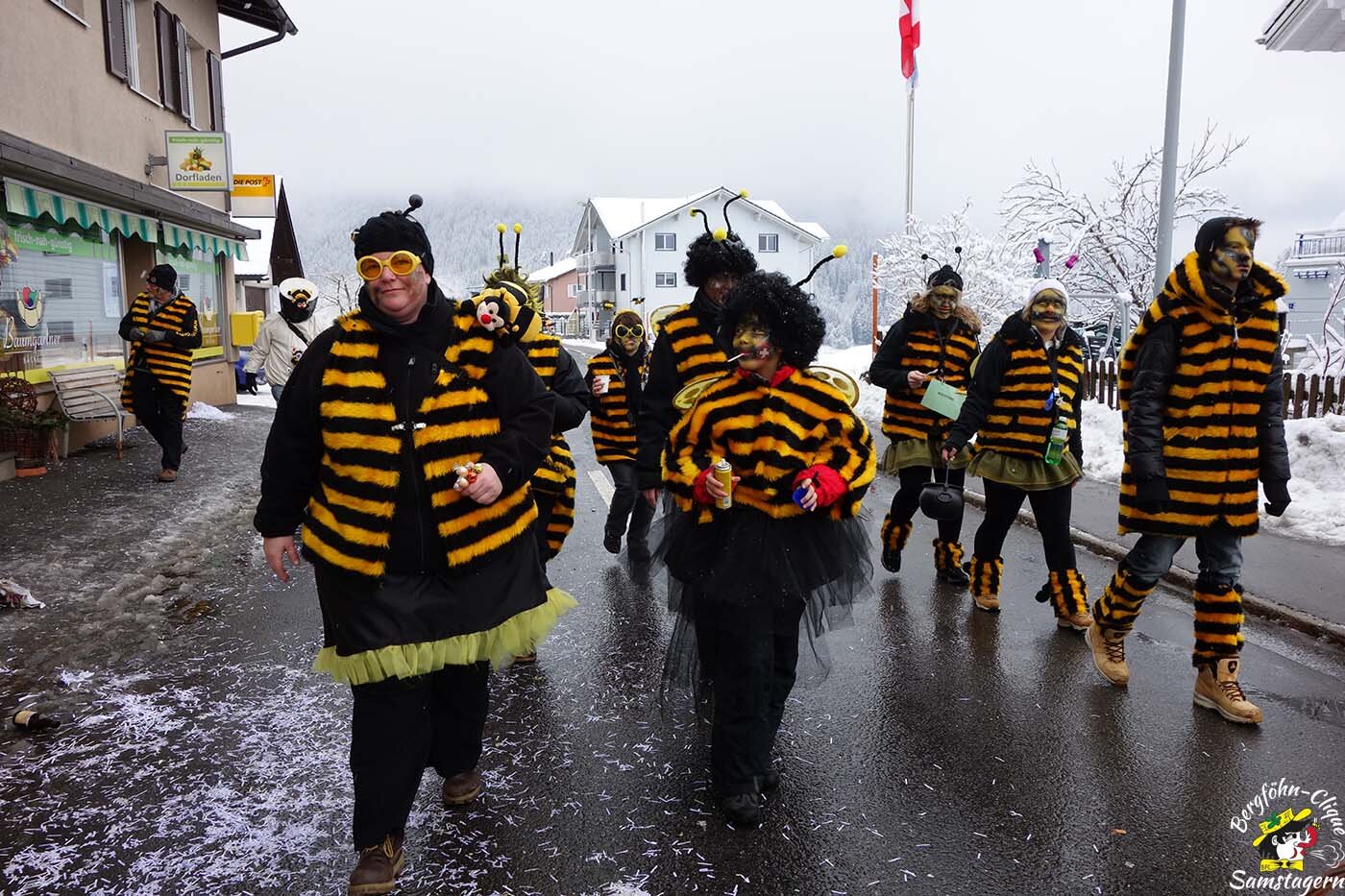 Fasnachtsumzug_Bennau_2013_028.jpg