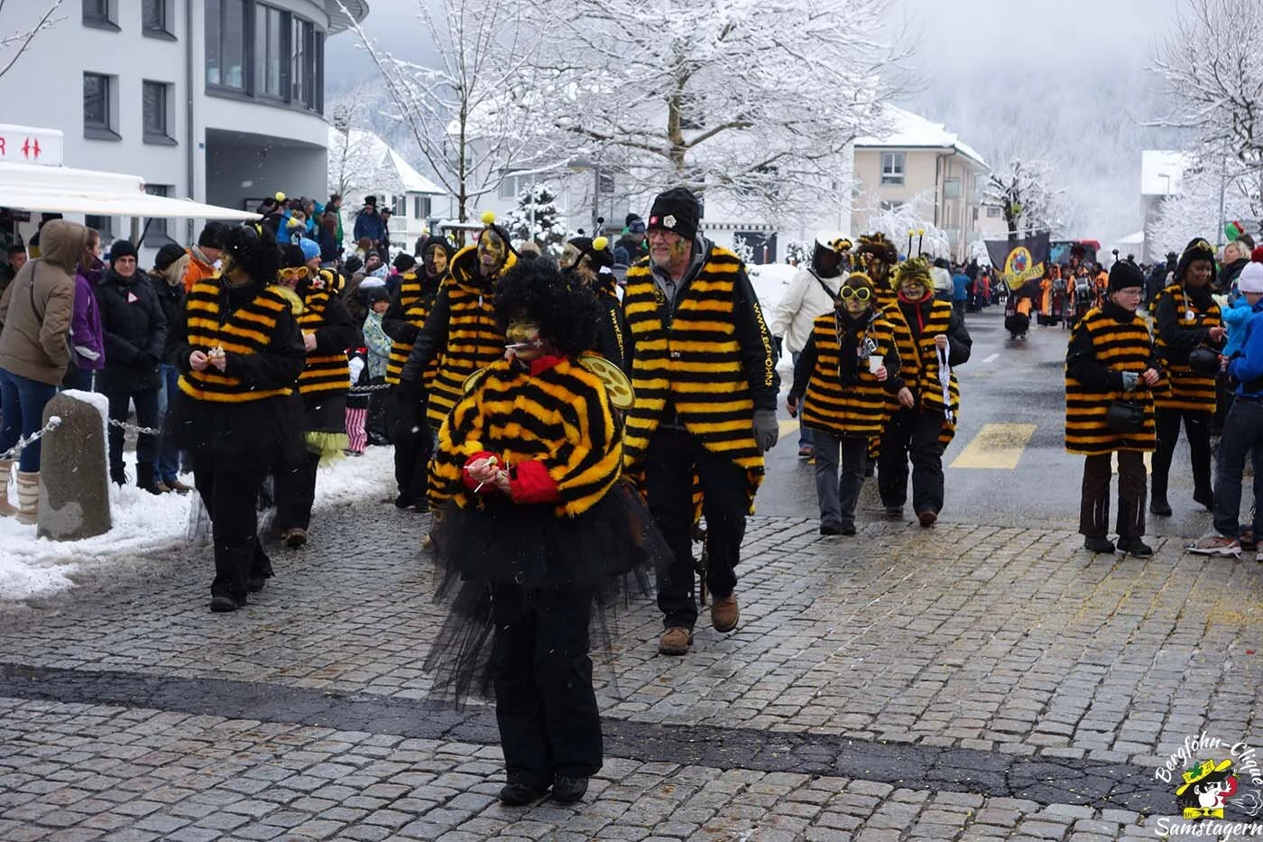Fasnachtsumzug_Bennau_2013_034.jpg