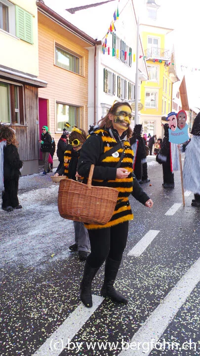 Fasnachtsumzug_Aegeri_2013_007.jpg