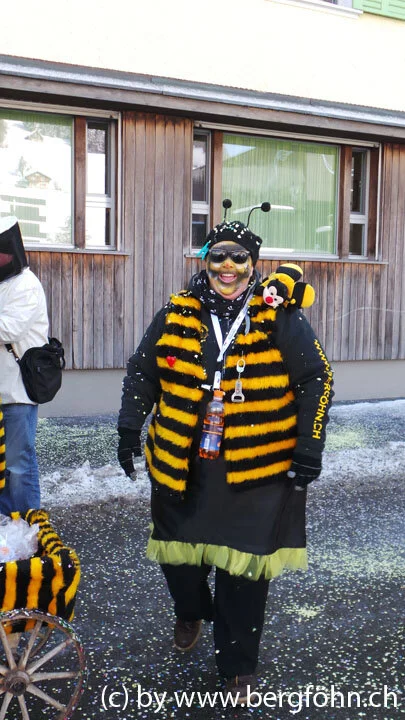 Fasnachtsumzug_Aegeri_2013_006.jpg