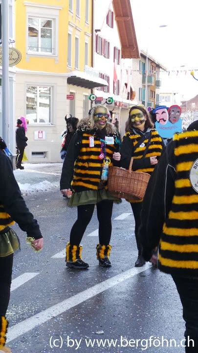 Fasnachtsumzug_Aegeri_2013_004.jpg