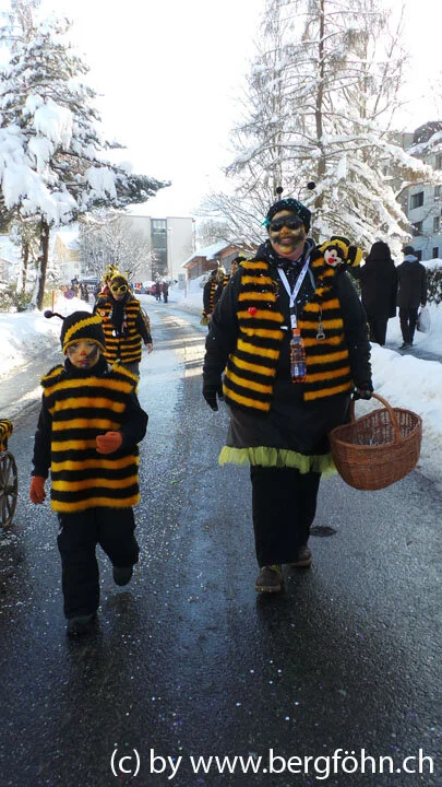 Fasnachtsumzug_Aegeri_2013_013.jpg