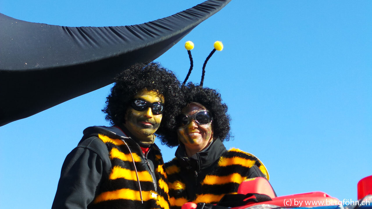 Fasnachtsumzug_Aegeri_2013_011.jpg