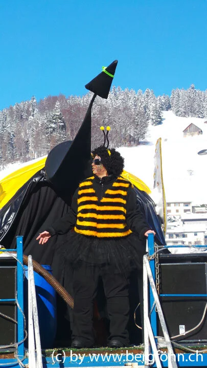 Fasnachtsumzug_Aegeri_2013_025.jpg