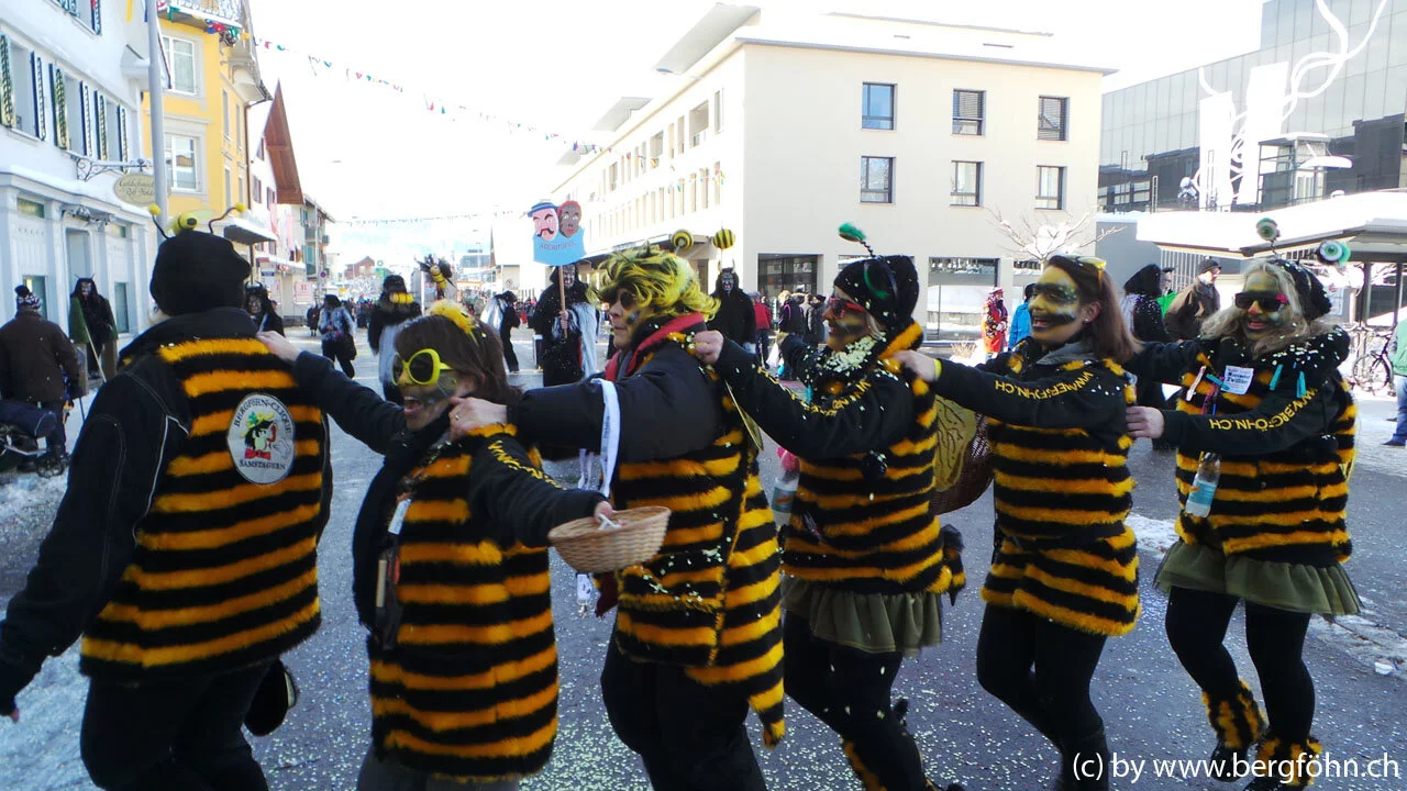 Fasnachtsumzug_Aegeri_2013_037.jpg