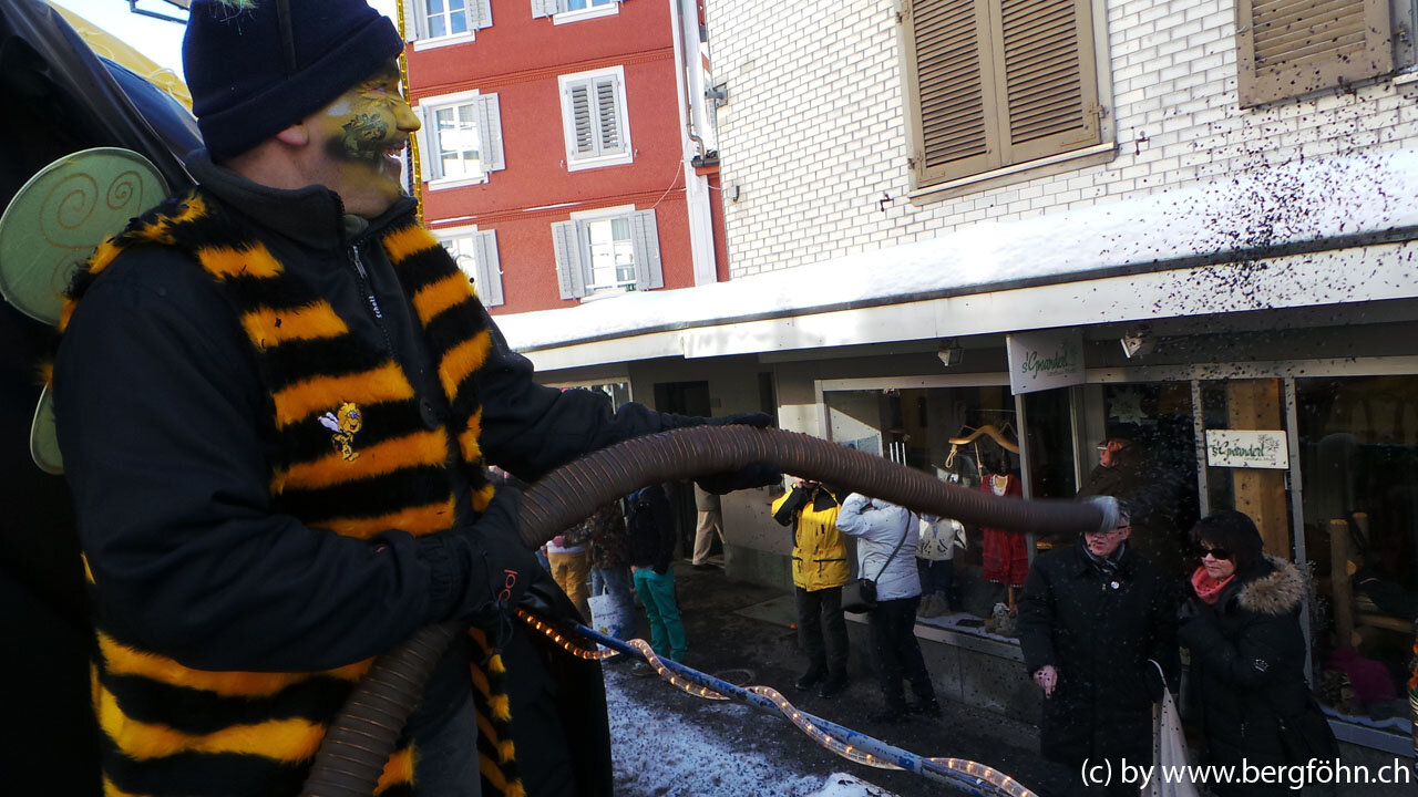 Fasnachtsumzug_Aegeri_2013_057.jpg
