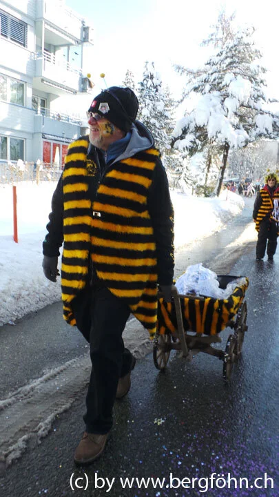 Fasnachtsumzug_Aegeri_2013_070.jpg