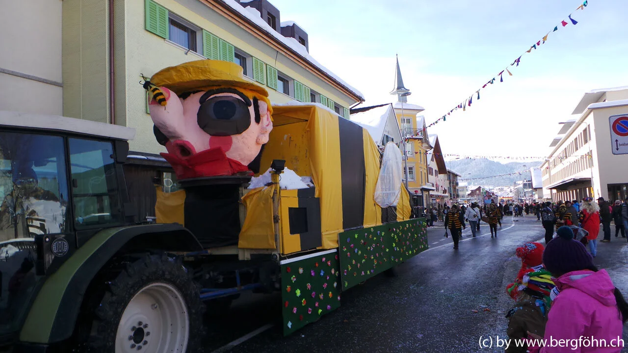 Fasnachtsumzug_Aegeri_2013_075.jpg