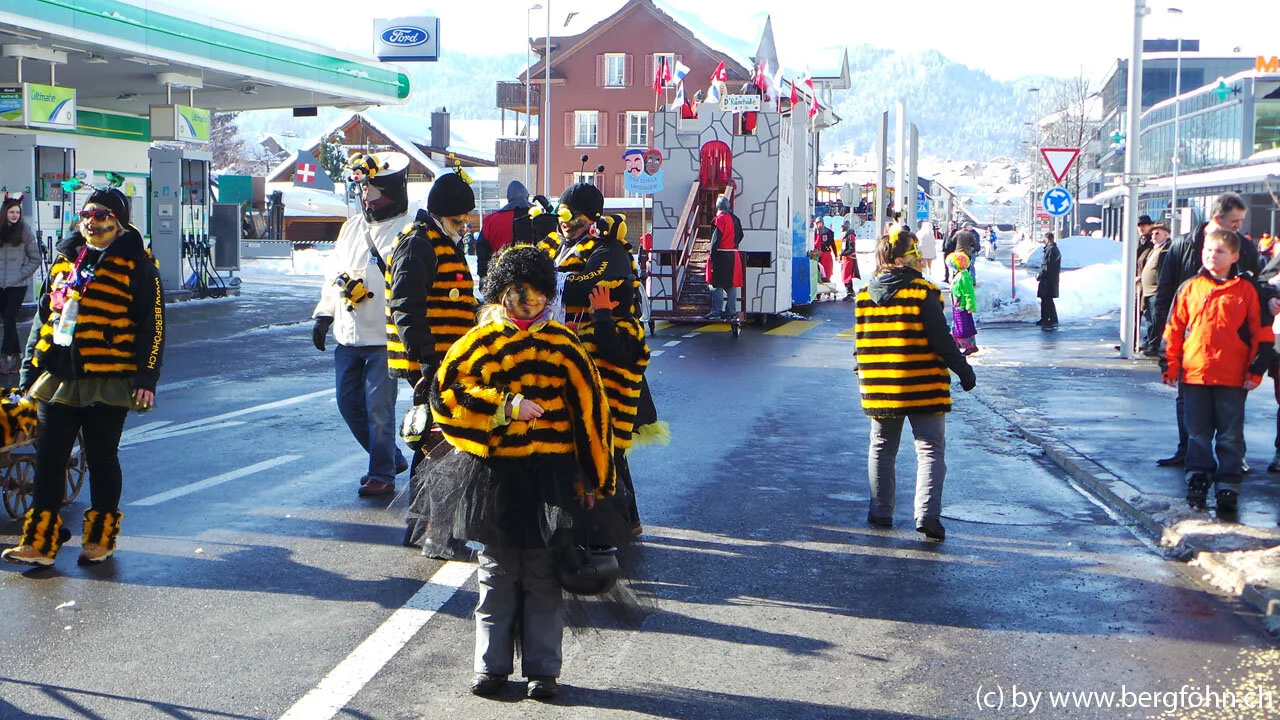 Fasnachtsumzug_Aegeri_2013_081.jpg