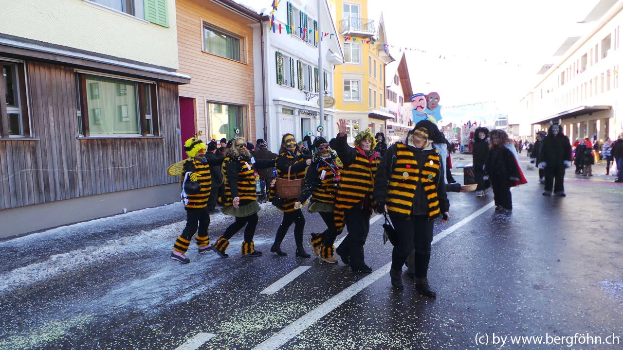 Fasnachtsumzug_Aegeri_2013_086.jpg