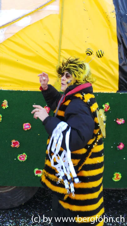 Fasnachtsumzug_Aegeri_2013_091.jpg