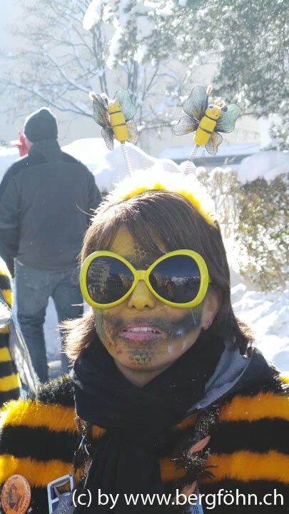 Fasnachtsumzug_Aegeri_2013_095.jpg