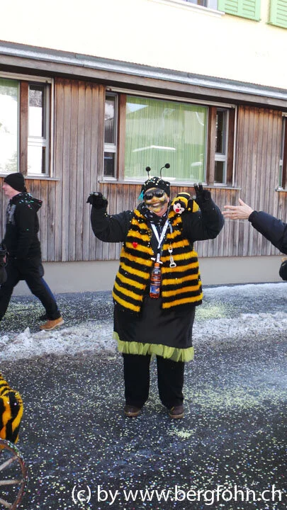 Fasnachtsumzug_Aegeri_2013_100.jpg